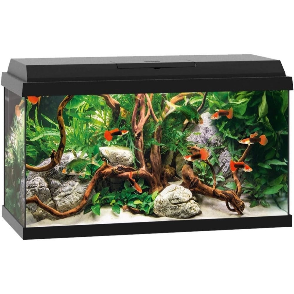 Juwel Primo LED 60 cm61x31x37h Colore Nero