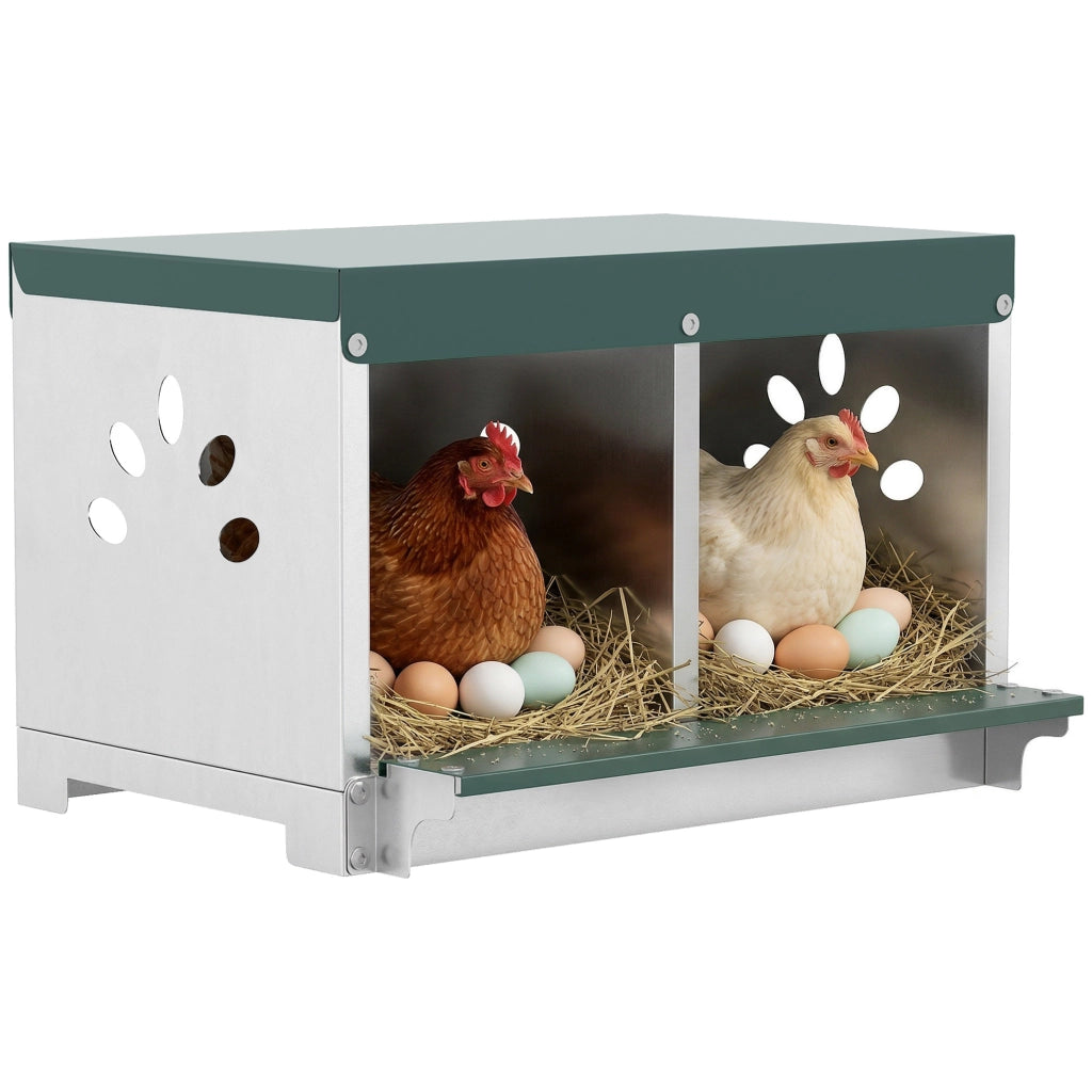 Nido per Galline Ovaiole in Acciaio 2 Aree con Base Rialzata ¨C Xylo ¨C Argento