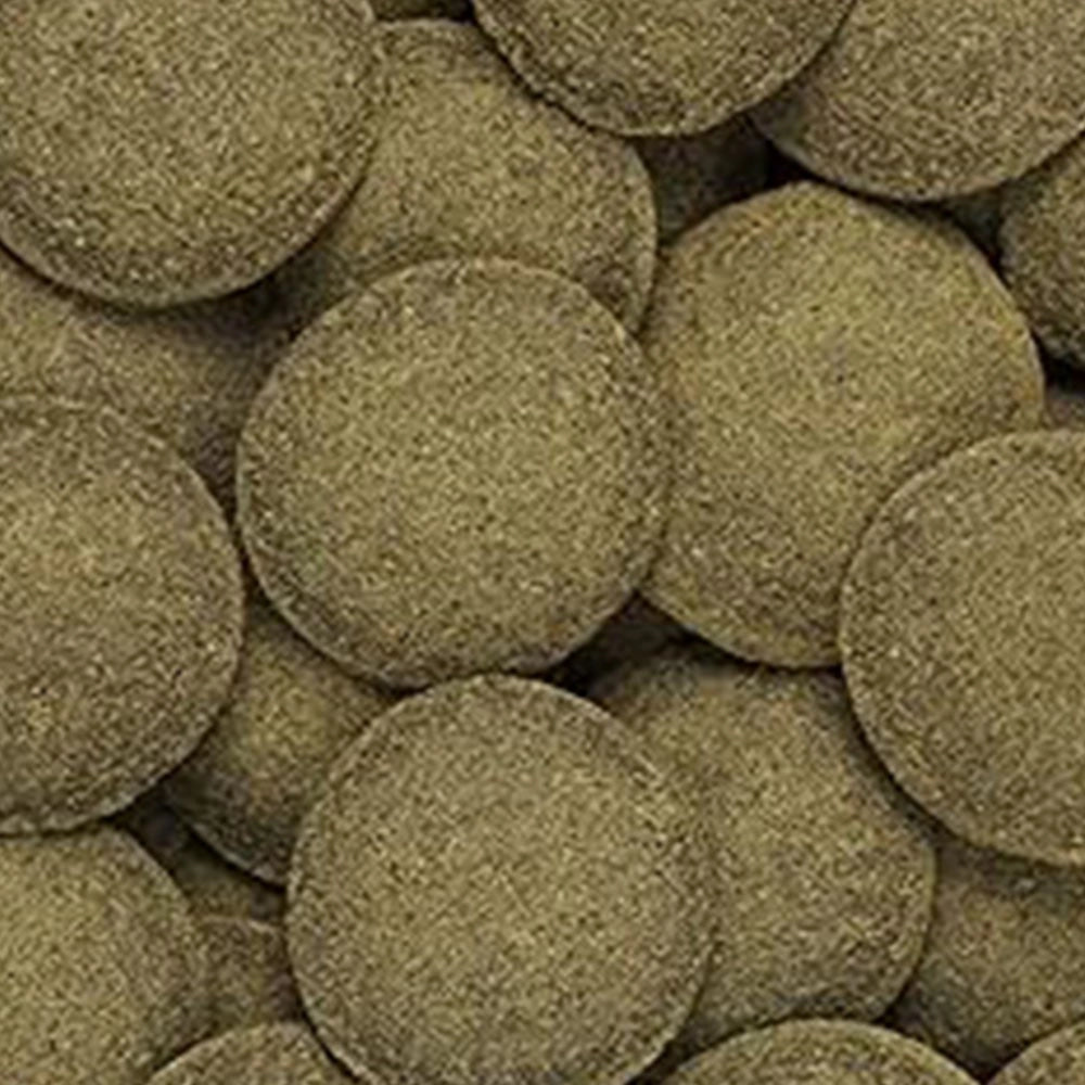 Hikari Tropical Algae Wafers – mangime per Plecostomus e altri mangiatori di alghe Formato: 40 gr