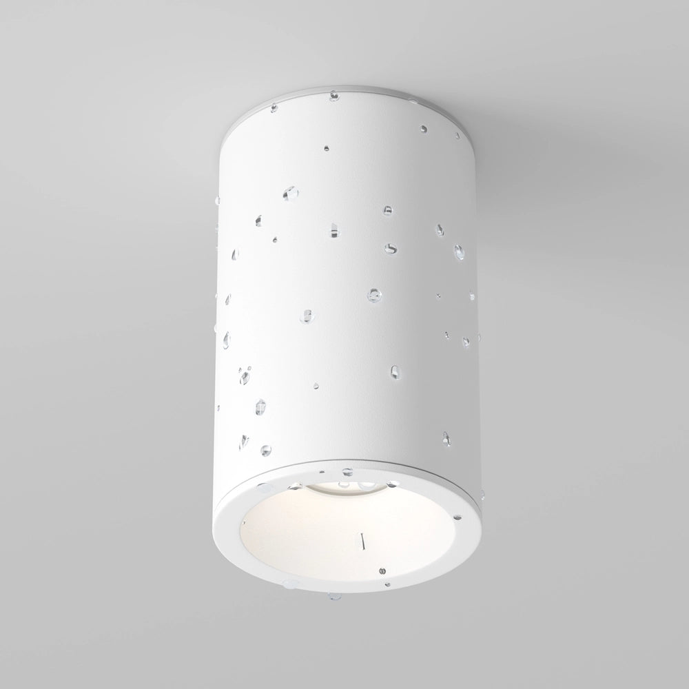 Plafoniera tecnica Maytoni Zoom bianca GU10 IP65 C029CL-01-S-W