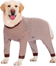 Vestiti da Notte per Cani