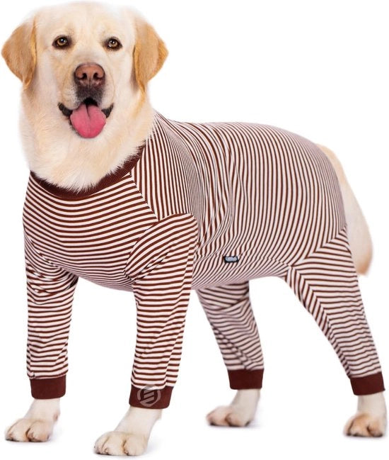 Vestiti da Notte per Cani