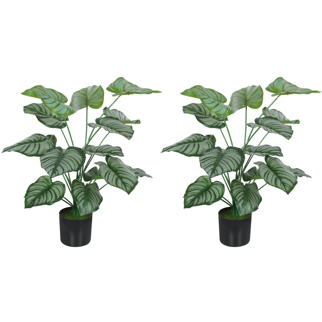 Pianta Artificiale Decorativa ¨C zephmum ¨C Verde 65 cm con Vaso