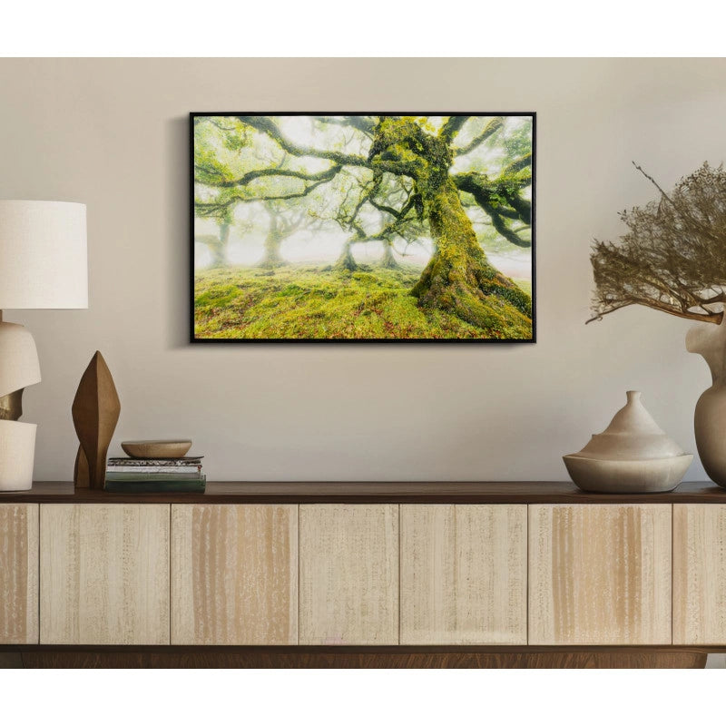 Stampa Su Tela Laccata Con Cornice Foresta cm 90x4x60