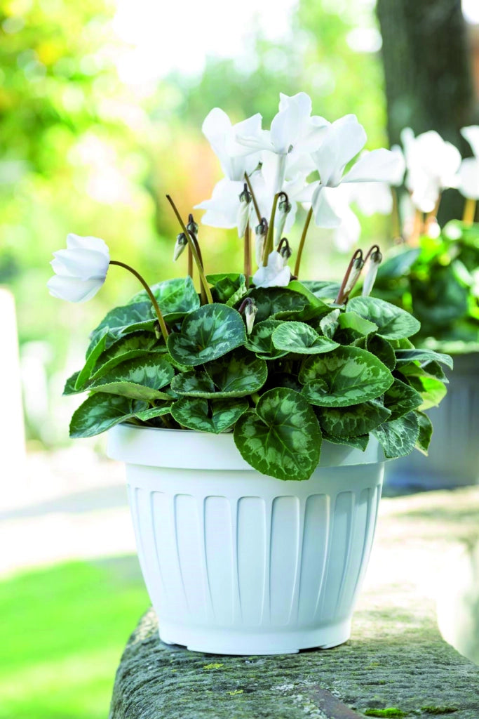 Bama VASO TONDO TERRA Col. Bianco Ø cm. 40x30 h