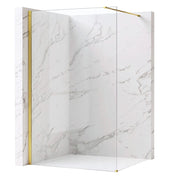 Parete Doccia Rea Flexi Transparent / Gold 110