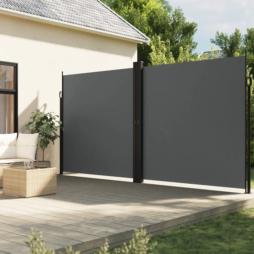 Tenda da Sole Laterale Retrattile Antracite 220x1200 cm 4004868