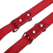 Accordeonbande rosse per accordeoni da 16 a 120 baschi, cinture per la vita compatibili con diversi tipi di accordeoni.