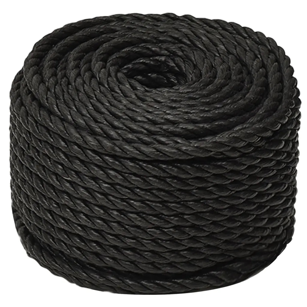 Corda da Lavoro Nera 16 mm 250 m in Polipropilene 153028
