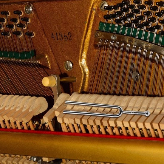 Astrometria - Vara a 440 Hz - Acciaio Inossidabile - Tuner per Chitarra/Violino/Ukulele - Precisazione di Allineamento Accurata - Inclusa Custodia di Riposo - 12,3 cm di Lunghezza - Vara di Allineamento