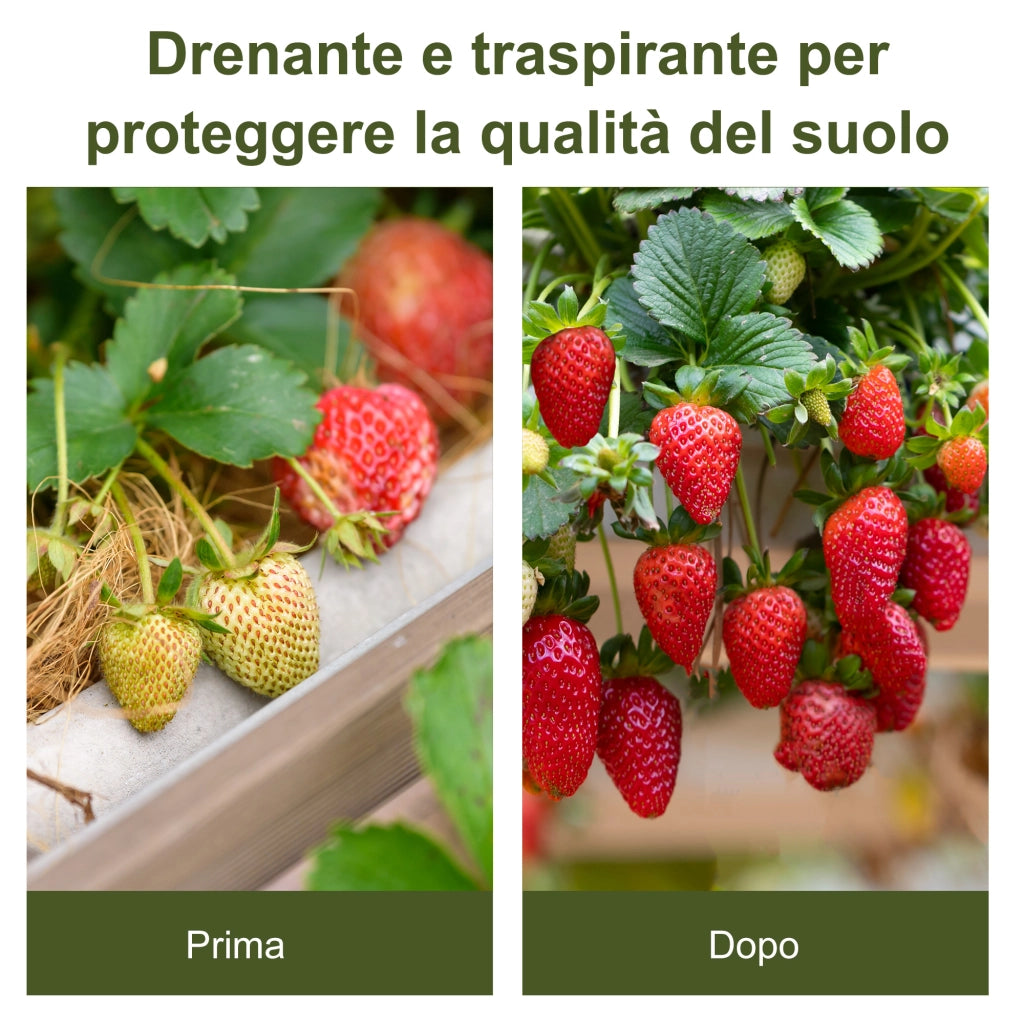 Telo Pacciamatura ¨C Minimal ¨C Nero 50x1 m PP