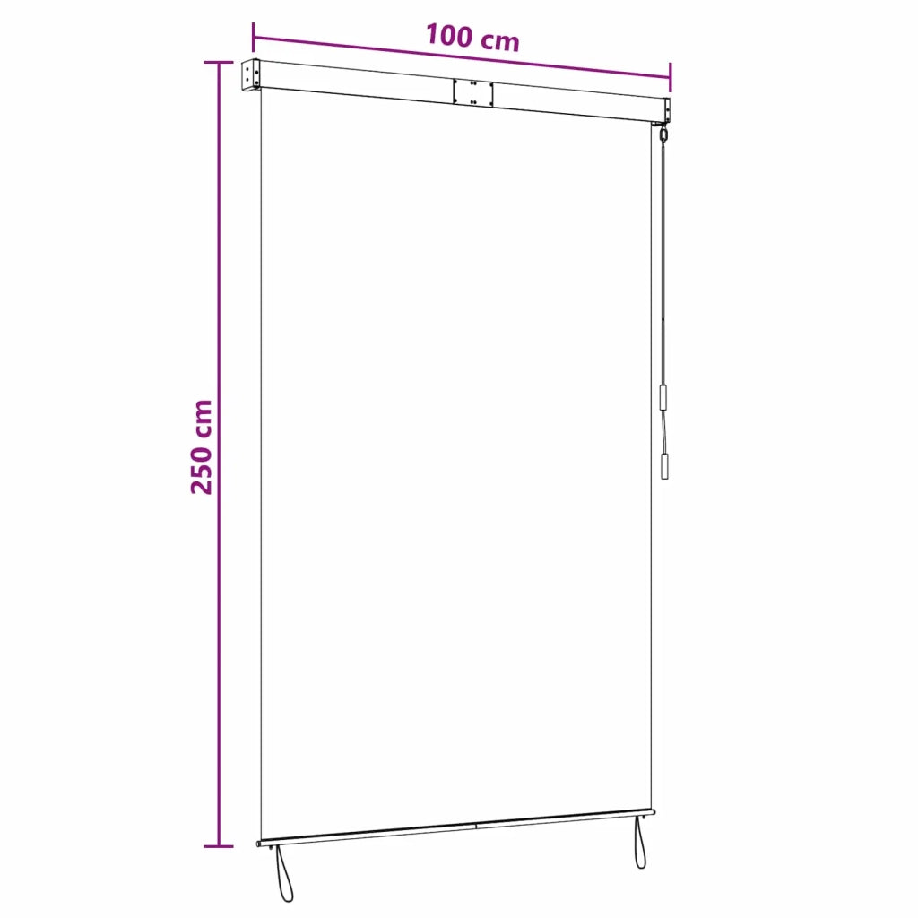 Tenda a rullo | Tenda avvolgibile Antracite e Bianco 100 x 250 cm