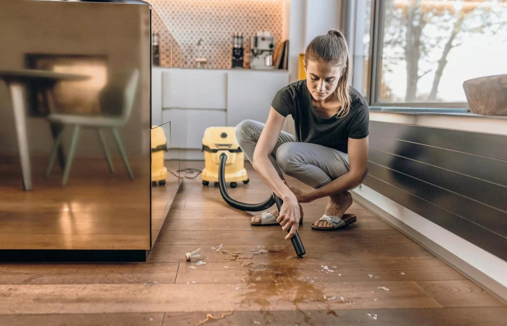 Kärcher WD 2 Plus V-12/4/18 12 L Aspiratore a cilindro Secco e bagnato 1000 W Sacchetto per la polvere