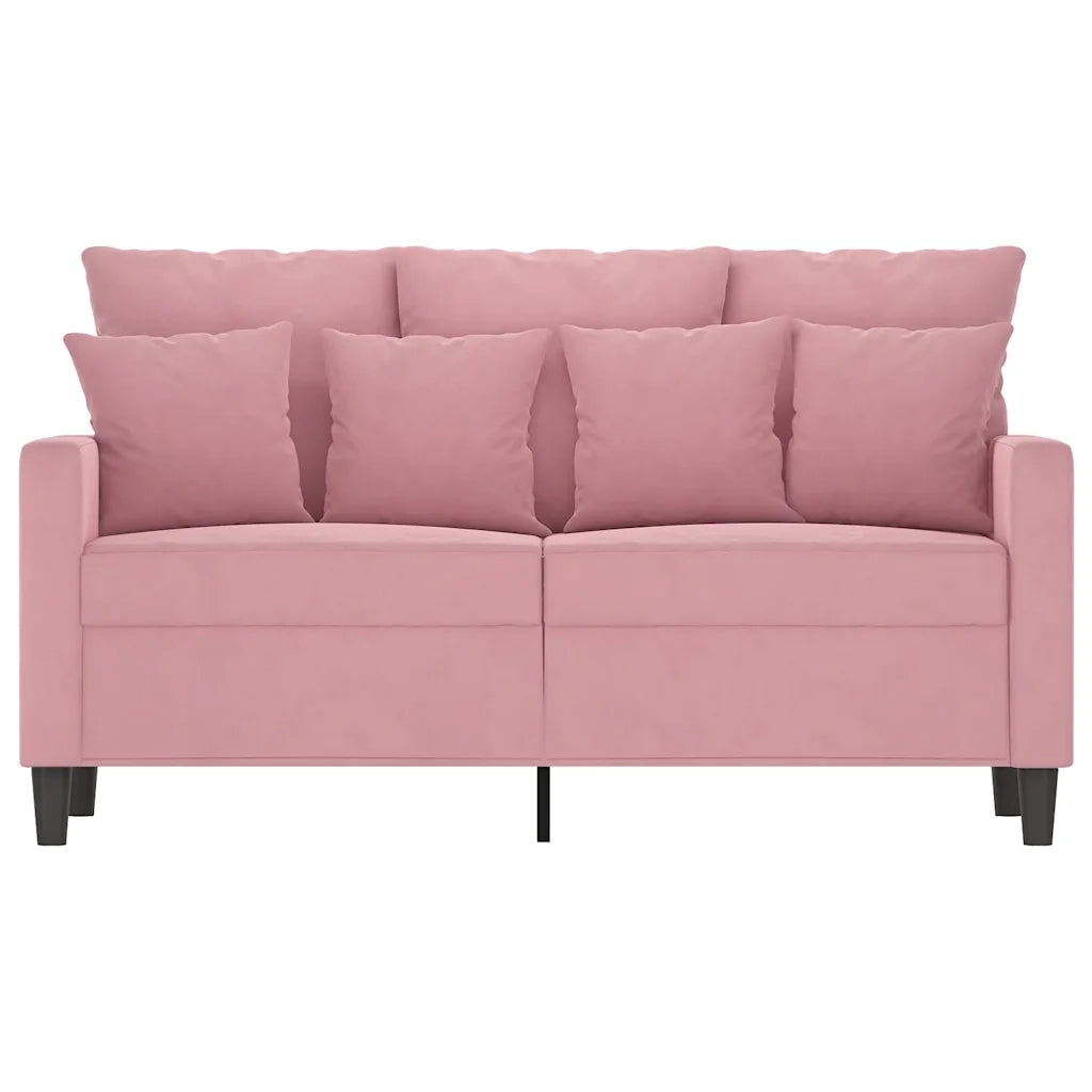 Divano | Divano da soggiorno | Sofa a 2 Posti Rosa 120 cm in Velluto