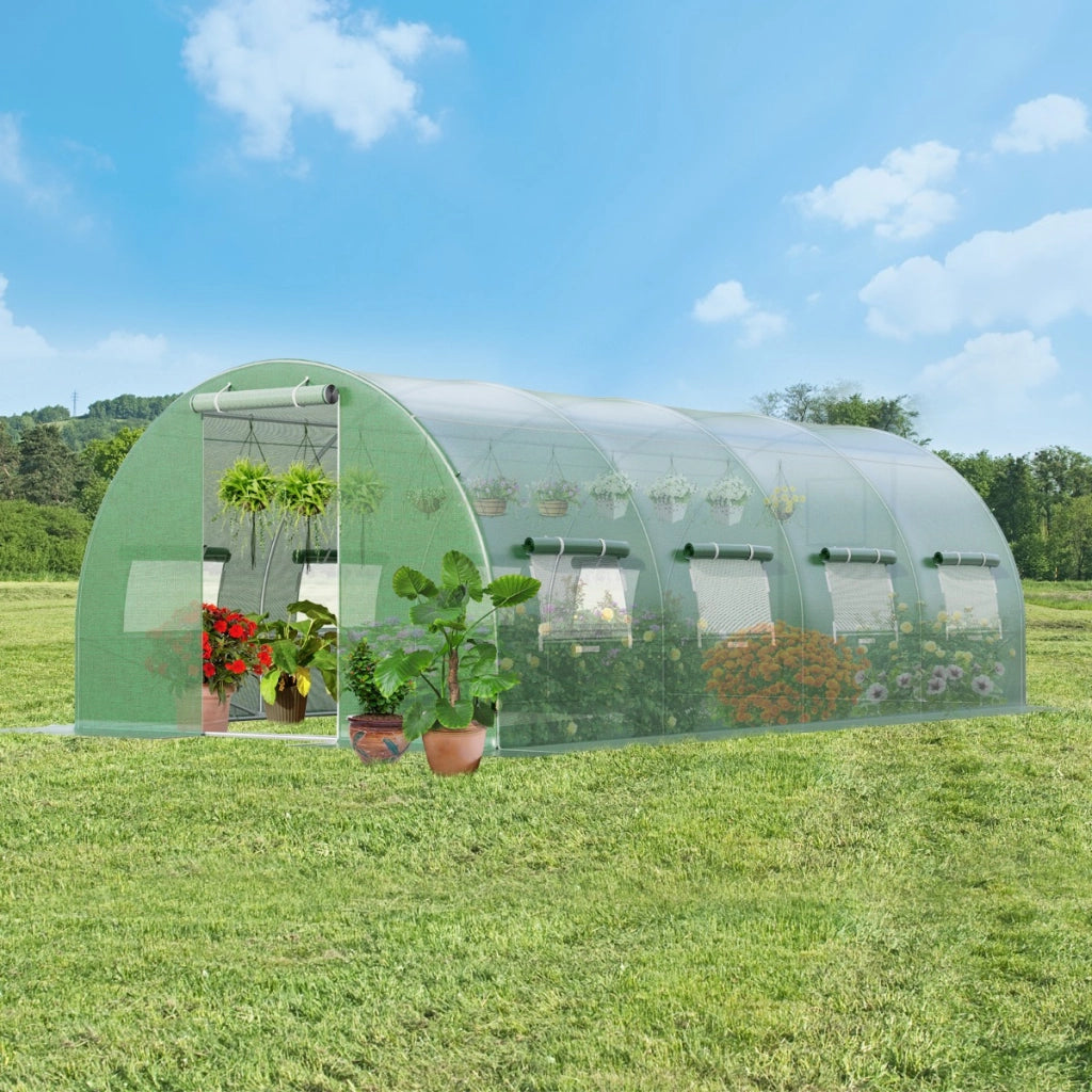 Serra per piante da giardino con 10 finestre avvolgibili 2 porte con cerniera, Serra tunnel per orto Verde-Serre da giardino