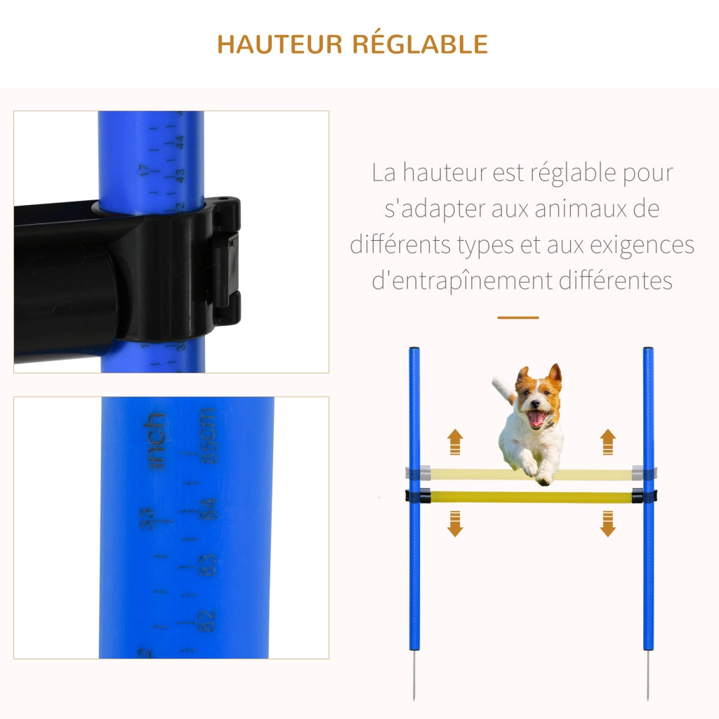 Set Agilit¨¤ per Cani ¨C Minimal ¨C Blu e Giallo