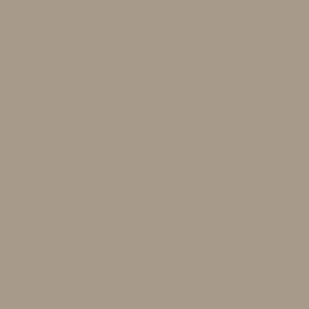 Idropittura Colorata Superlavabile per Interni HomeColor, Colore Savana, 2.5L