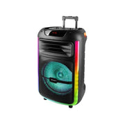Trolley speaker 100w luci e microf - 8011000042008