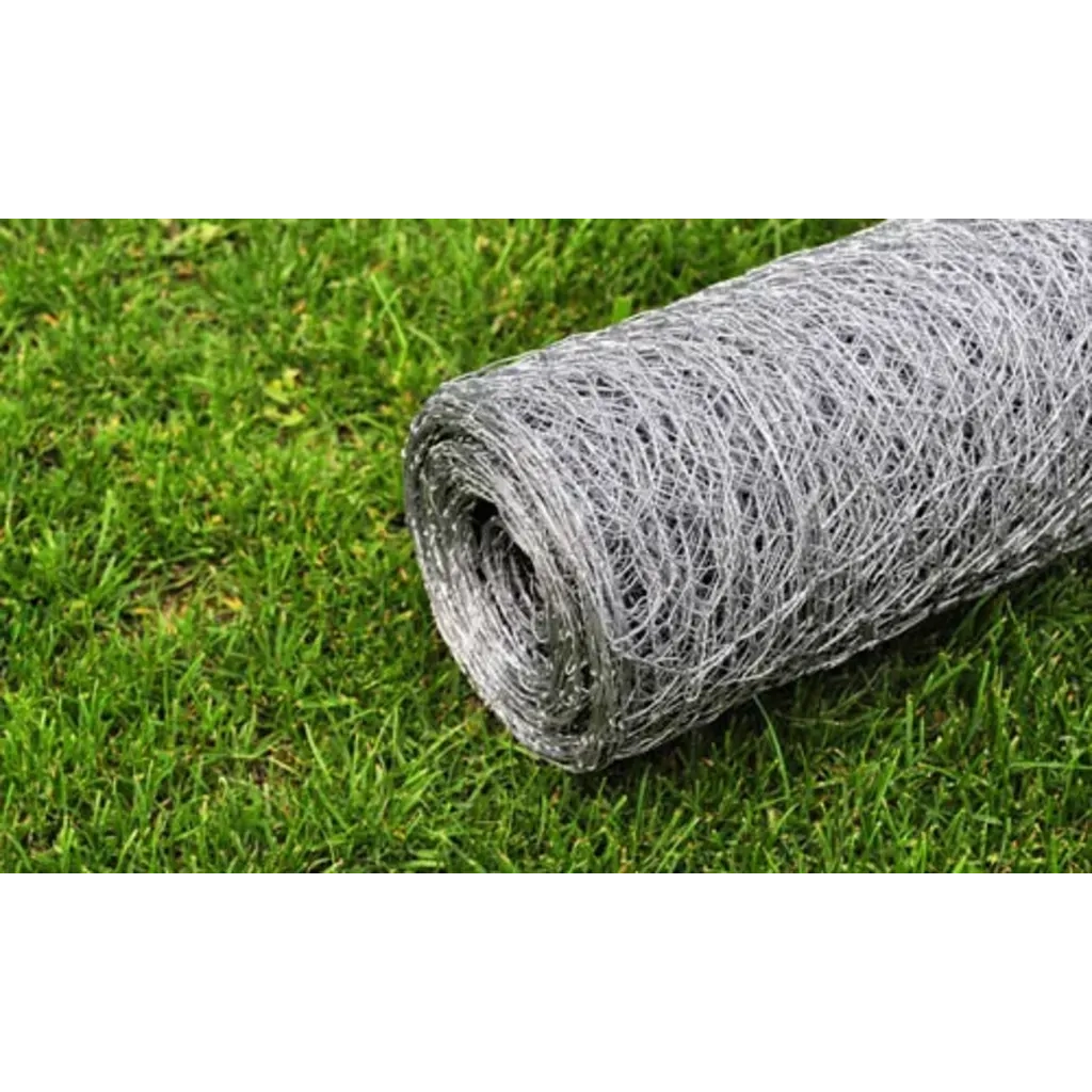 Recinzione in Rete per Pollaio Acciaio Zincato 25x0,5 m Argento 140415