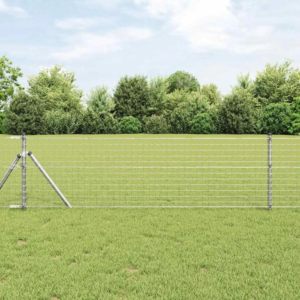 Recinzione Euro 0,4 x 10 m Ferro rivestito in PVC 42004618