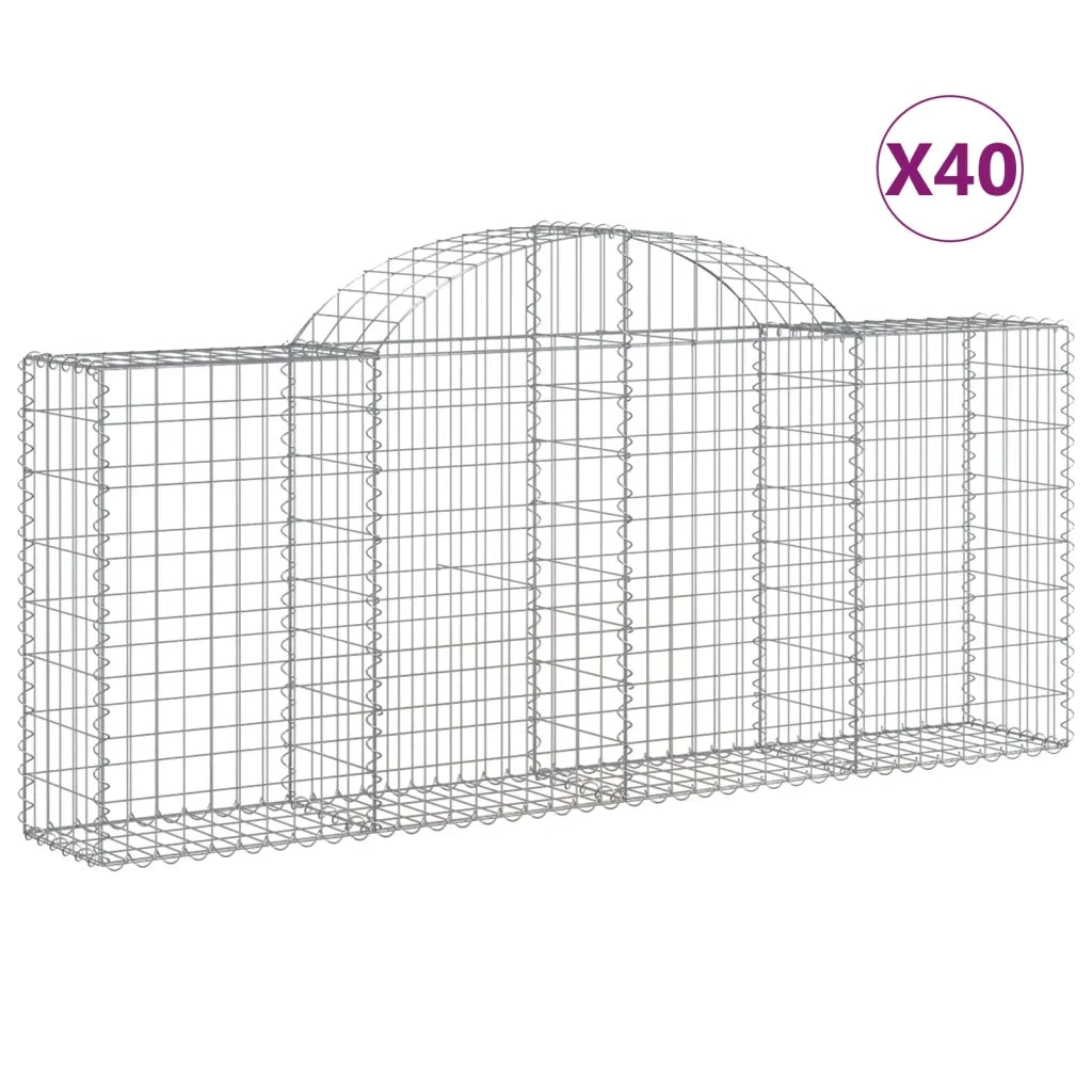 Cesti Gabbioni ad Arco 40 pz 200x30x80/100 cm Ferro Zincato 3146107