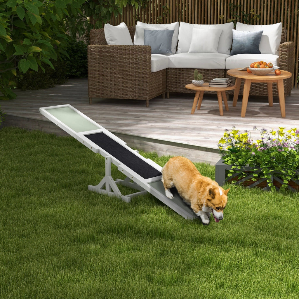 Tavola Equilibrio Agility Cani ¨C Xylo ¨C Antiscivolo 180x30x30cm Grigio Bianco