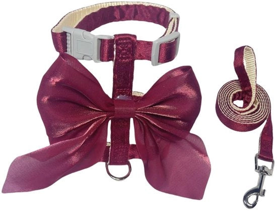 Cinturoni per gatti, cinturoni per gatti con cinghia e collare, cinturone regolabile con grande fiocchetto decorativo, adatto per gatti e cuccioli (rosso)