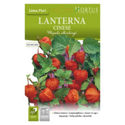 Lanterna Cinese DB