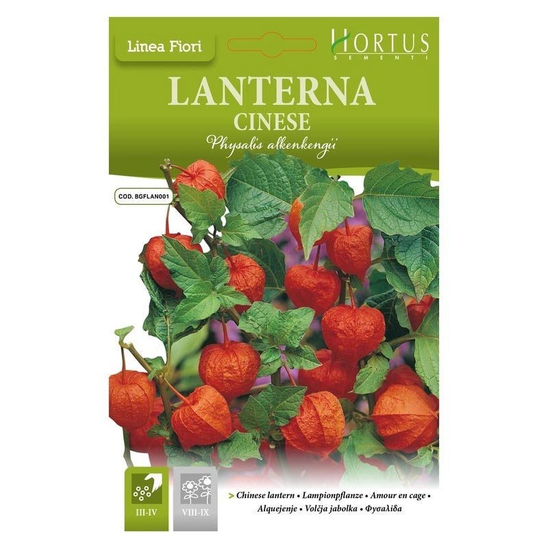 Lanterna Cinese DB