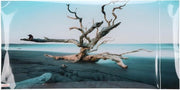 Poster di sfondo autoadesivo per acquario, cielo con albero secco, vis.