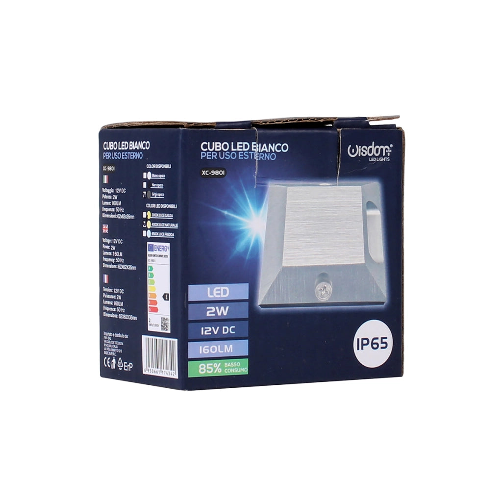 SEGNAPASSO LED 12V 2W IP65 CALPESTABILE QUADRATO MONO EMISSIONE LUCE NATURALE 4000K° - IDEALE PER ILLUMINAZIONE ESTERNI