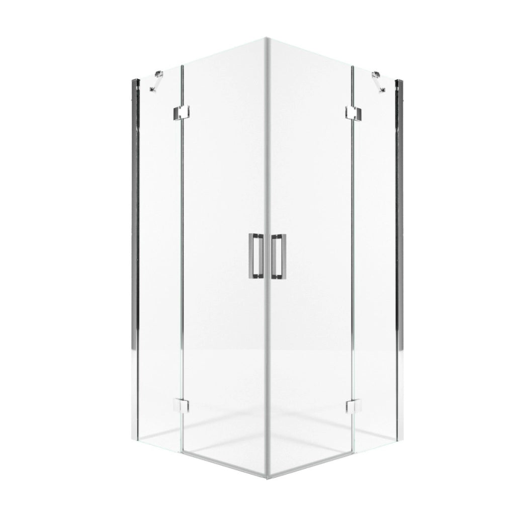 Box doccia due lati battenti 8 mm h195 anticalcare regina, misura 100x100
