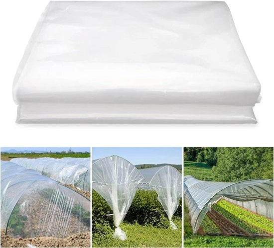 Foglie di plastica trasparente 2 x 6 metri - Riciclabile e resistente per giardini e serre