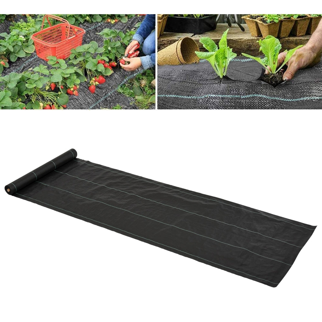 Telo Pacciamatura ¨C Minimal ¨C Nero 50x1 m PP