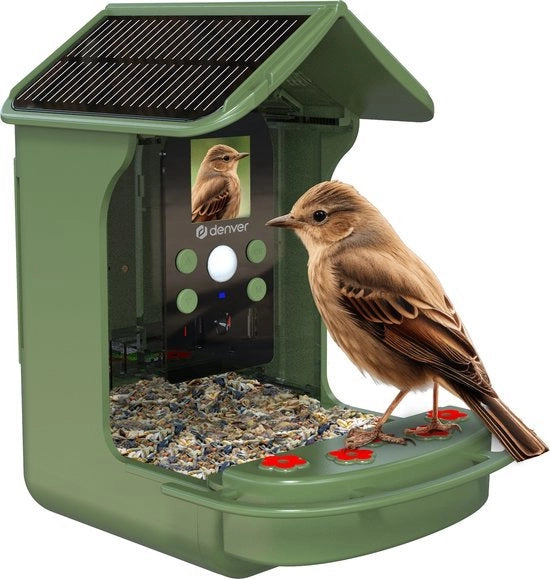 Casa per uccelli con camera