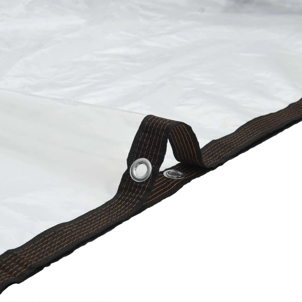 Tarp Trasparente 10 x 1,5 m PE 42038944