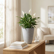 Vaso piccolo in Fibra sintetica cm 26x26x33 - CLEM