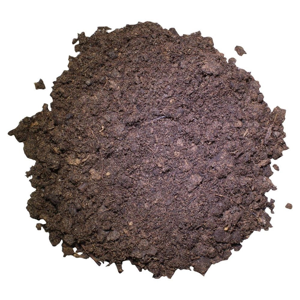 Lucky Reptile Tortoise Bedding 20L - substrato per tartarughe di terra