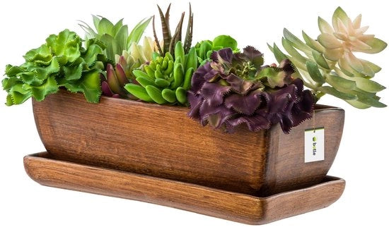 Pianta da Interno in Ceramica con Base, Forma Quadrata, Colore Scuro Sabbia, Ideale per Cactacee e Succulente