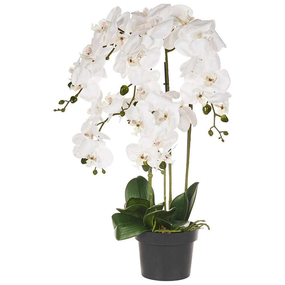 Pianta artificiale in vaso Materiale sintetico bianco e verde 63 cm Pianta orchidea Accessorio decorativo per interni