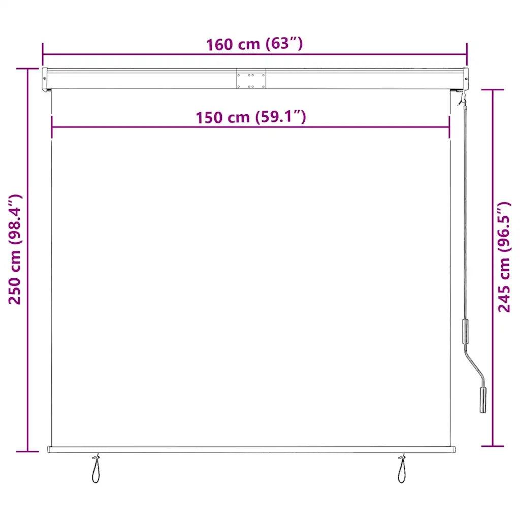 Tenda a rullo | Tenda avvolgibile per Esterni 160x250 cm Antracite