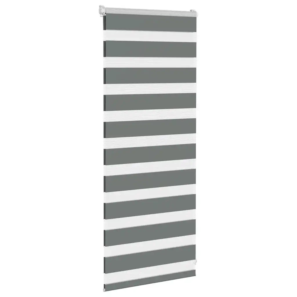 Tenda a rullo | Tenda avvolgibile Zebra Larghezza Tessuto 55,9 cm Poliestere