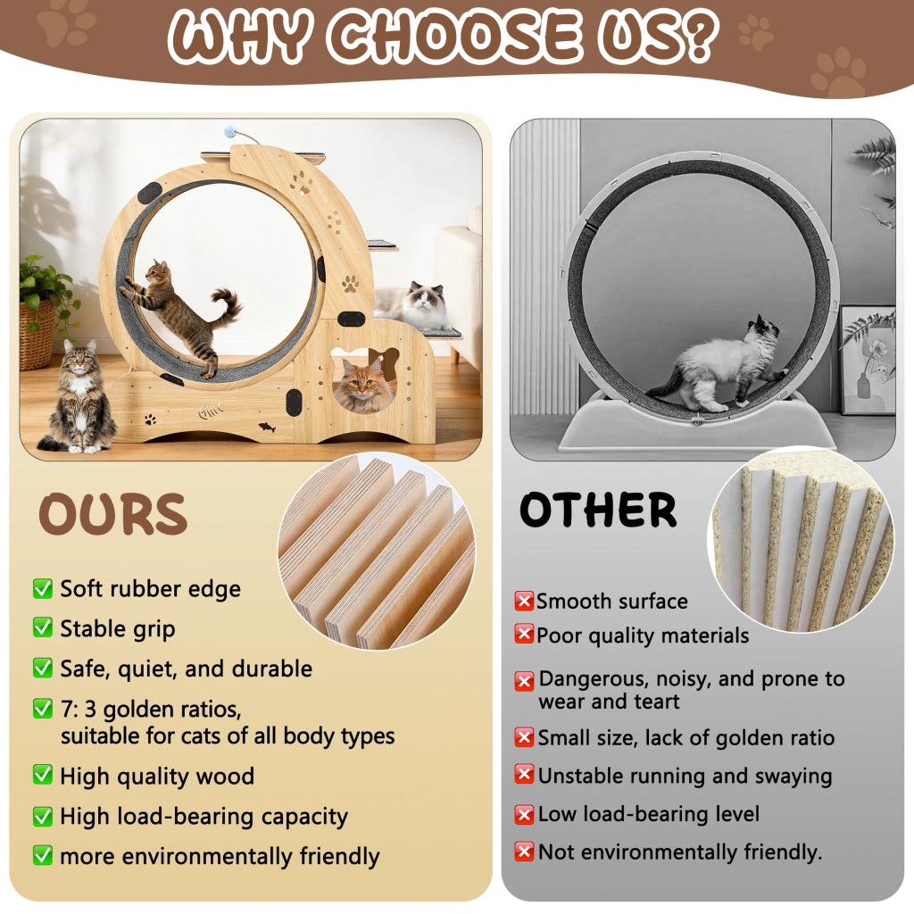 Ruota per gatti 6 in 1, ruota per esercizi per gatti, ruota per esercizi per gatti da interno migliorata, tapis roulant per gatti di grandi dimensioni
