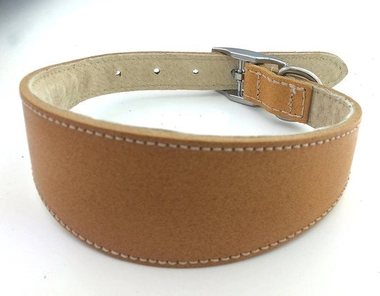 Collare Whippet Deluxe Marrone 12-14 pollici (Lotto di 1) - Collare di Qualità Premium Regolabile