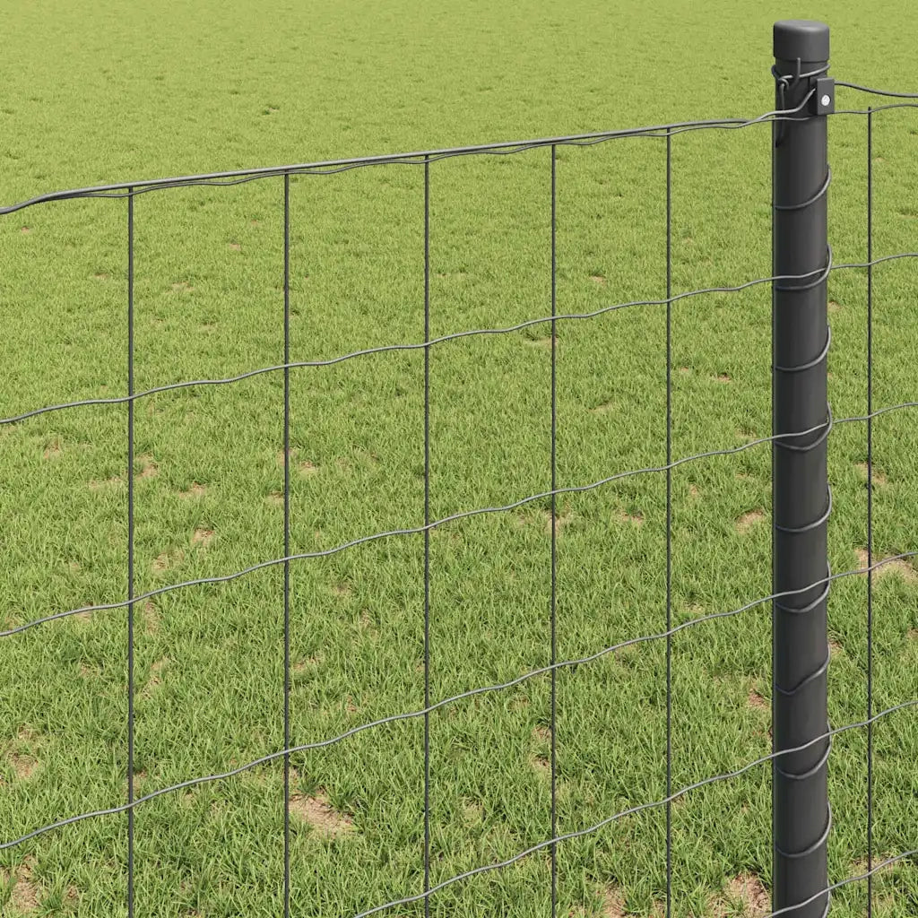 Recinzione Euro Grigio 1,2 x 10 m Ferro rivestito in PVC 42004502