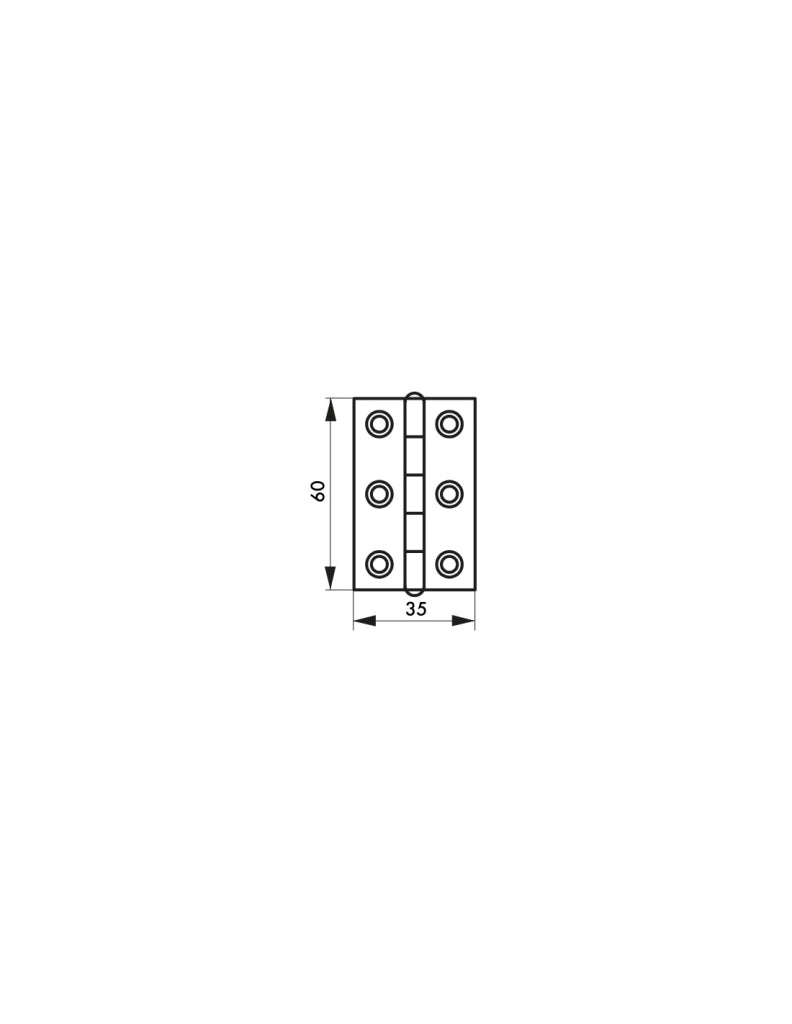 Cerniera in acciaio ino x AISI 304, 60 x 35 mm – THIRARD