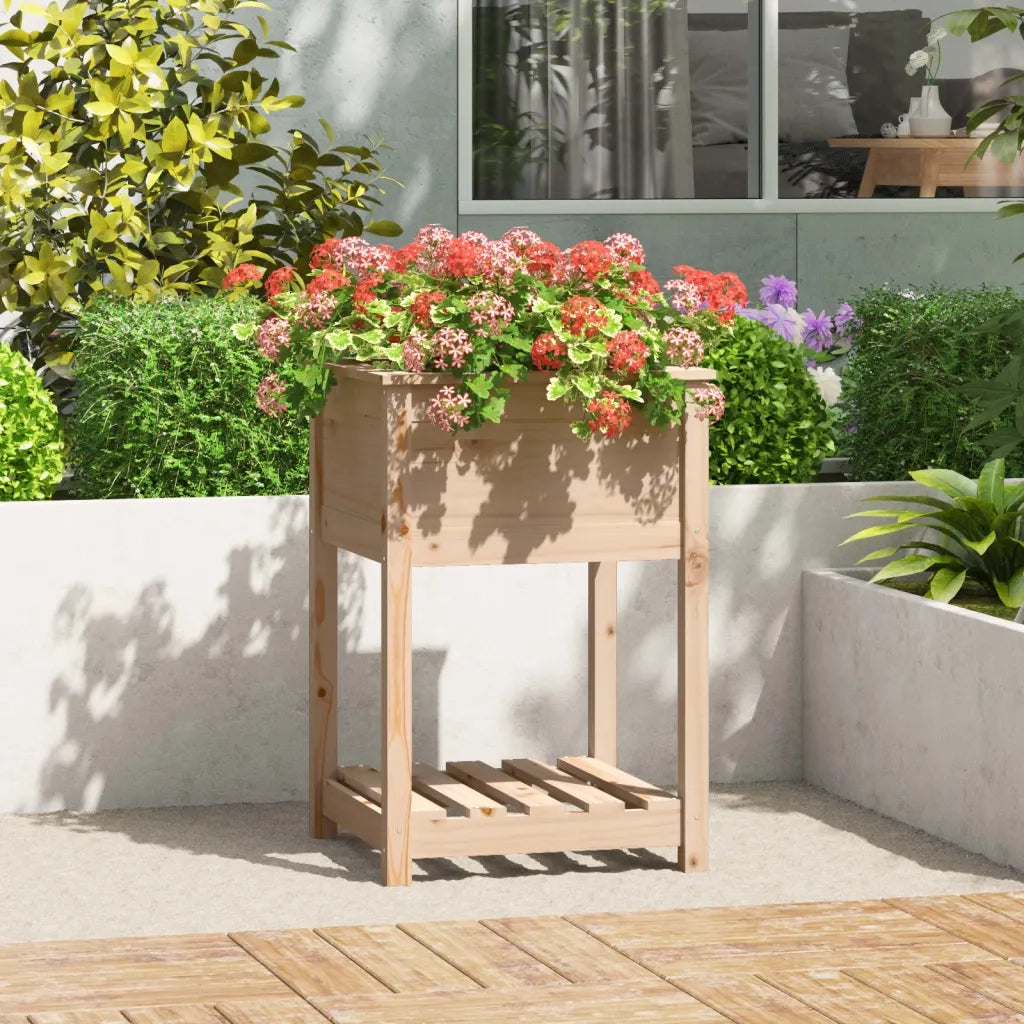 Fioriera con Mensola 54x54x81 cm in Legno Massello di Pino 823773