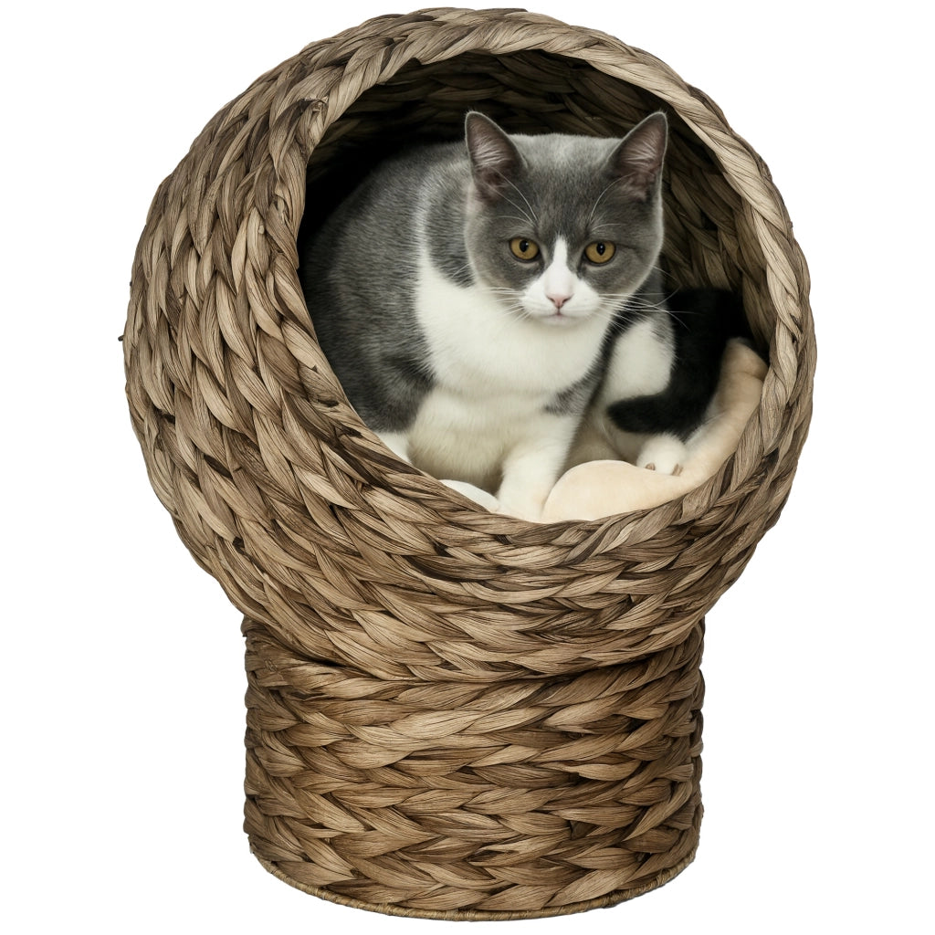 Cuccia per gatti rialzata con cuscino - Xylo - Beige 40x37x51 cm