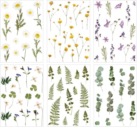 Sticker per fiori di piante - decorativo e estetico - 6 fogli