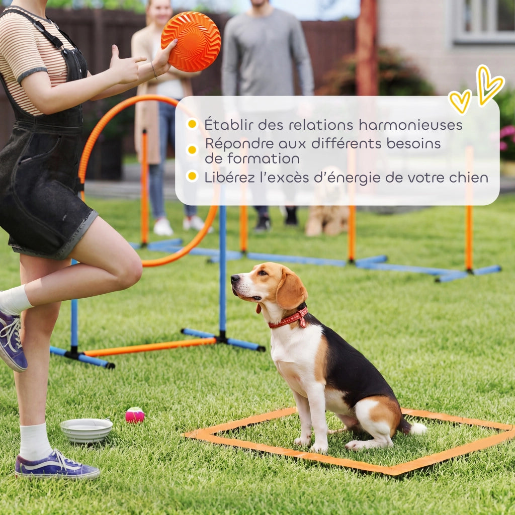 Set Agility per Cani 11 Pezzi ¨C Xylo ¨C con 2 Tunnel, Ostacoli Regolabili, Arancione e Blu